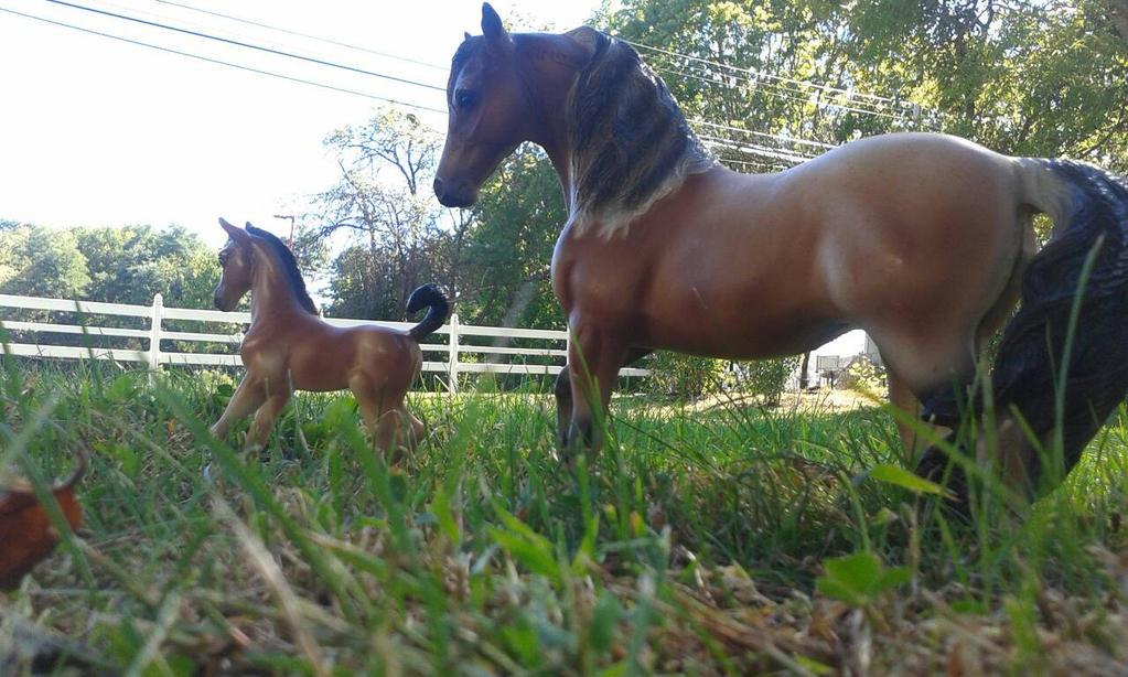 Breyer Photoshoot by RustyBellBarns on DeviantArt