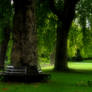 park bench in royal park