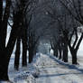 country road in winter