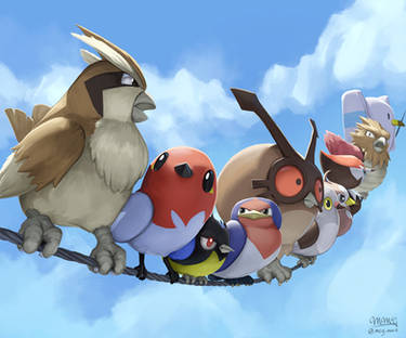 Route 1 Birds