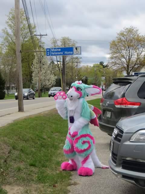 Lagoona the Dutch Angel Dragon