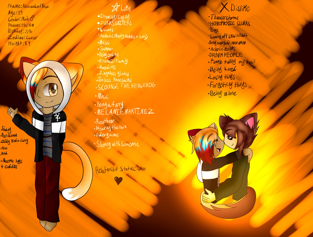 Meet the Artist Meme by LazyTheCat75 on DeviantArt