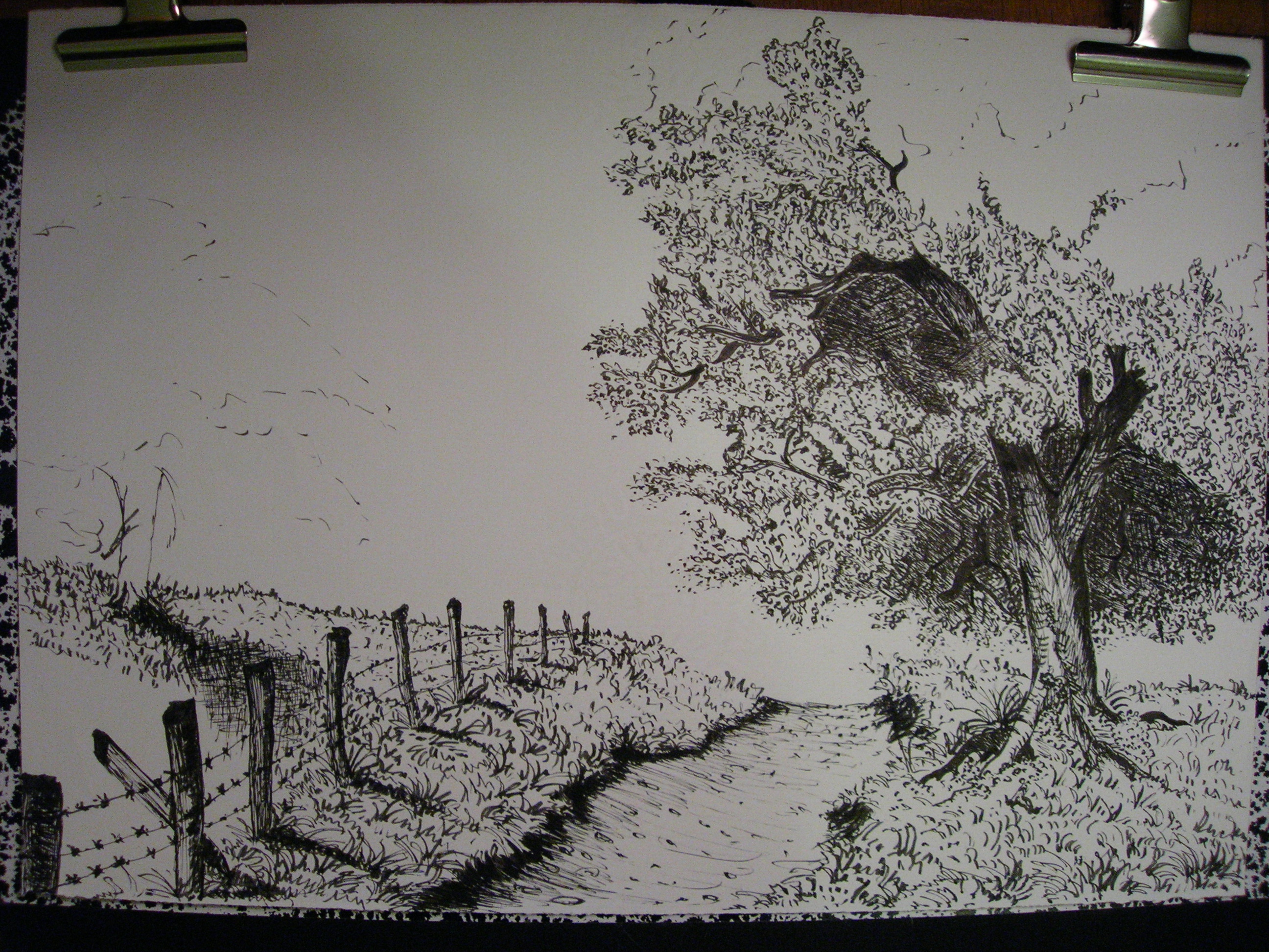 tree ink in progress 2