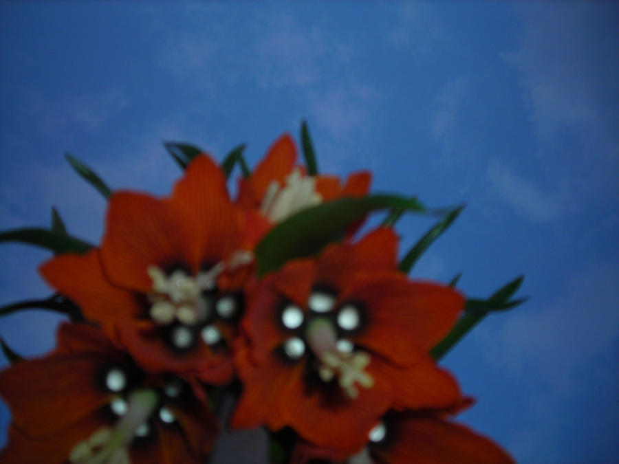 Spring Bells by springmulberry on DeviantArt