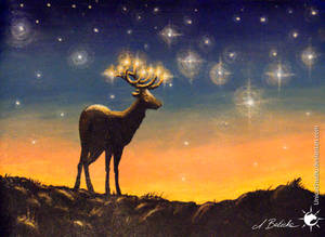 Star deer