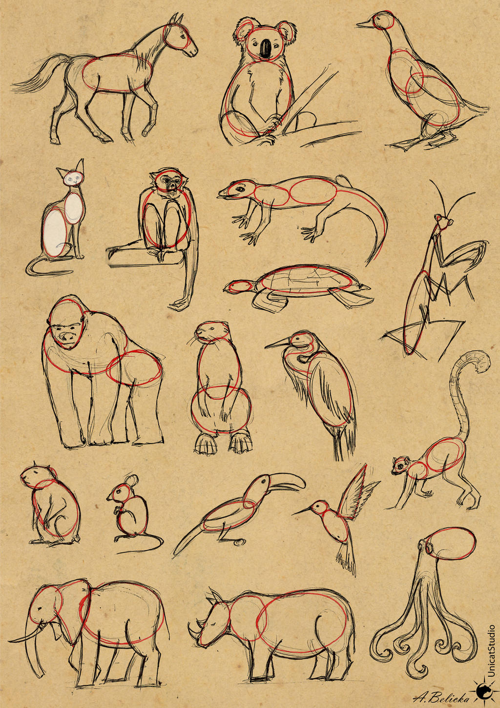 Animals Drawing - How To Draw Animals Step By Step