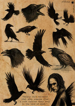 The Crow