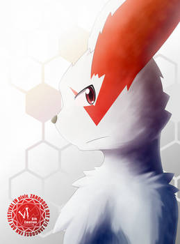 Zangoose Day_1