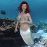 Mermaid Reef IG