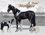 GFS Marquise by FlareAndIcicle