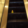 Rubber Ducky 2