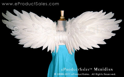 eProductSales Meridian Wings