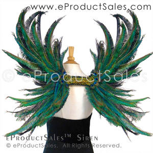 eProductSales Siren Iridescent Peacock Feather Art