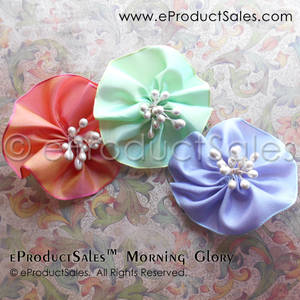 eProductSales MorningGlory Tea Garden hair clips