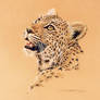 Leopard cub - untitled