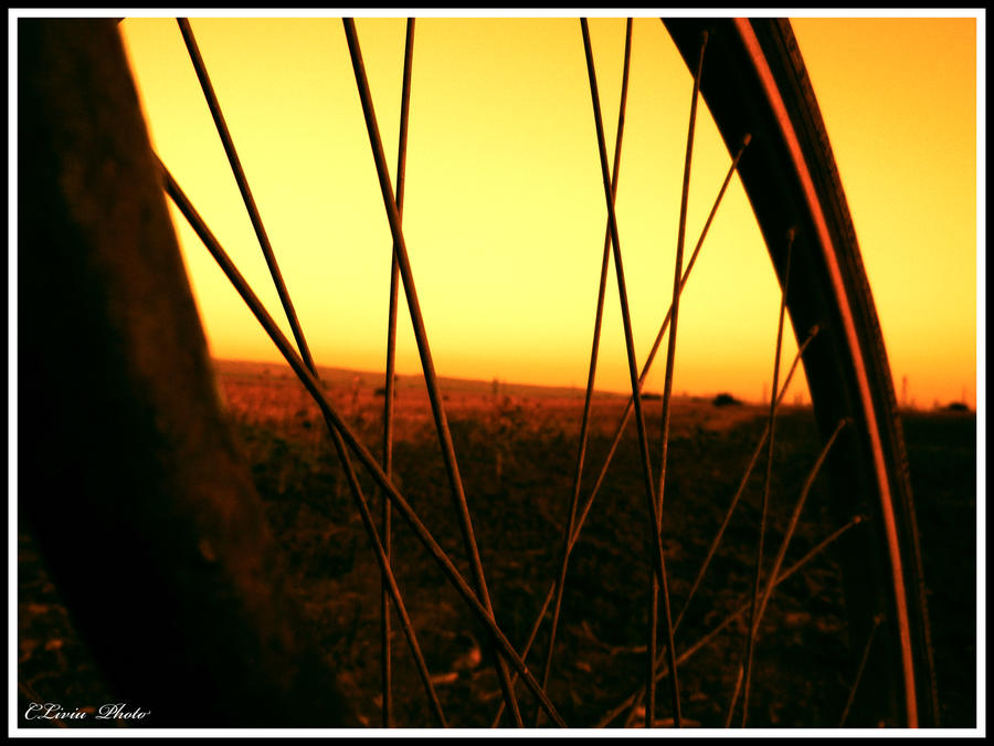 Bicycle wheel