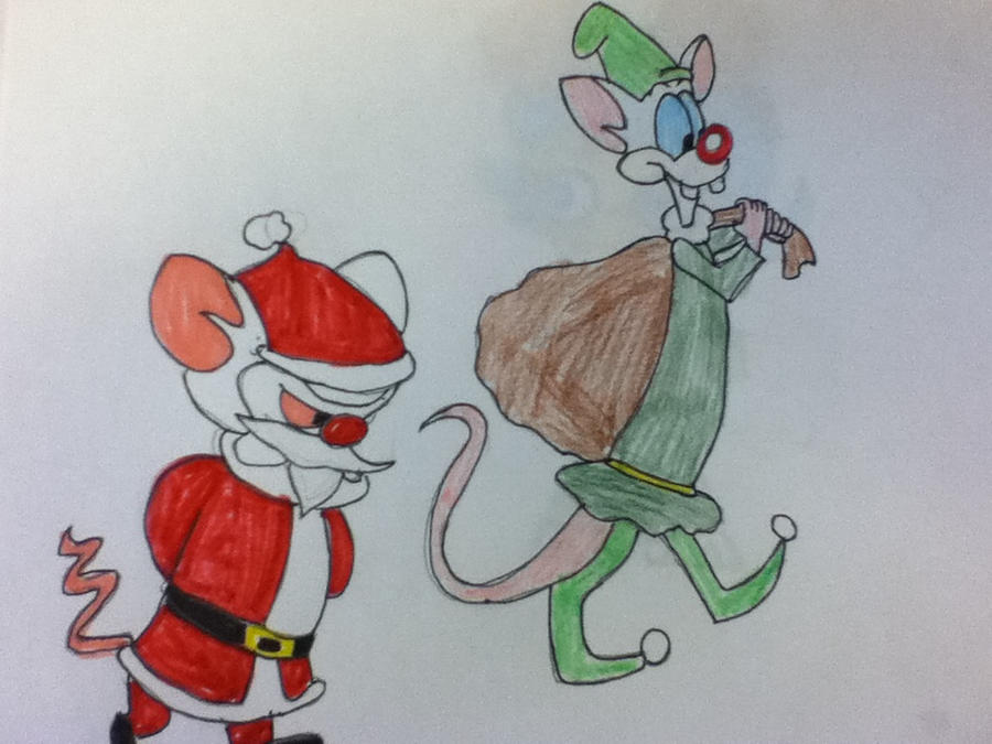Santa Brain and Pinky Elf