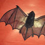 Bat fabric veil