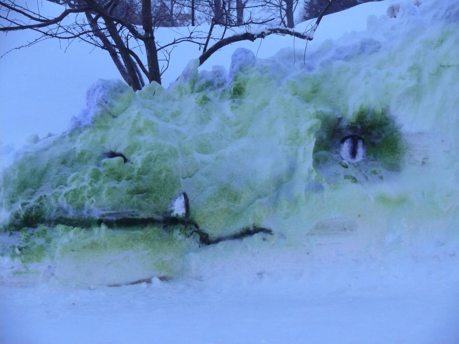 Snow Dragon detail