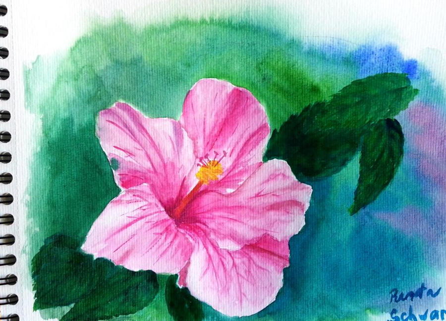 Hibiscus