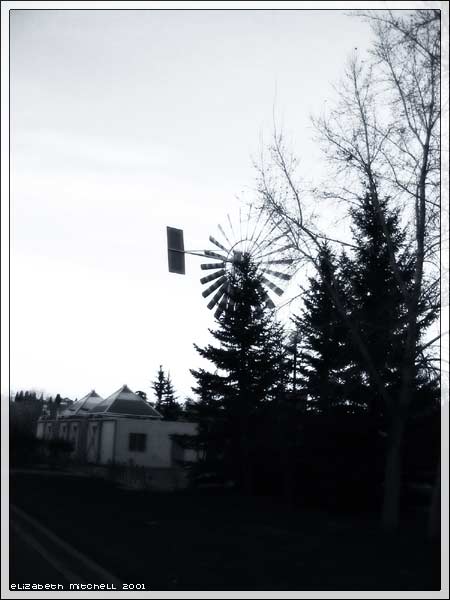 Windmill At Eau Claire