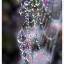 ..::Chandelier::..