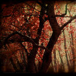 Autumn Sonet by Whimsical-Dreams