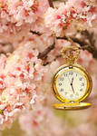 .:: Spring Time ::. by Whimsical-Dreams