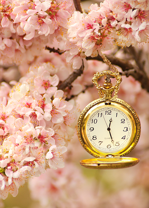 .:: Spring Time ::.