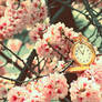 .:: Once upon a time ::.