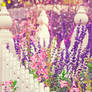 .:: My Secret Garden ::.