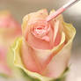 .:: Paint you pretty ::.