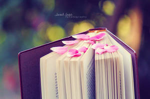 .:: Beauty of Books ::. by Whimsical-Dreams