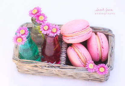 .:: Raspberry Macarons ::.