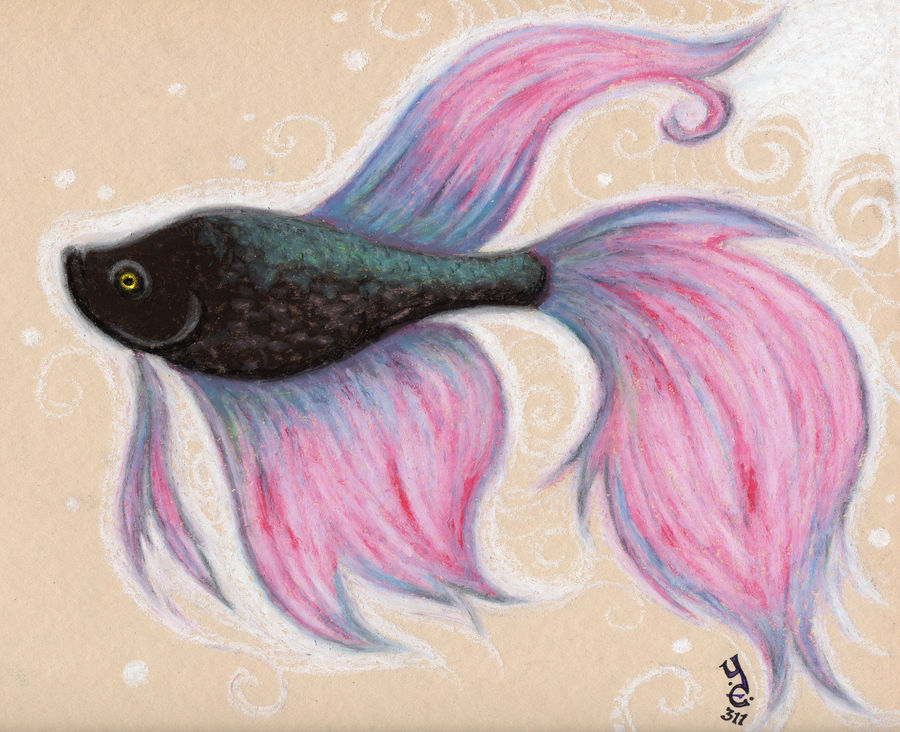 Rumble Fish Deviantart Rumble Fish by Yohnnilee on DeviantArt