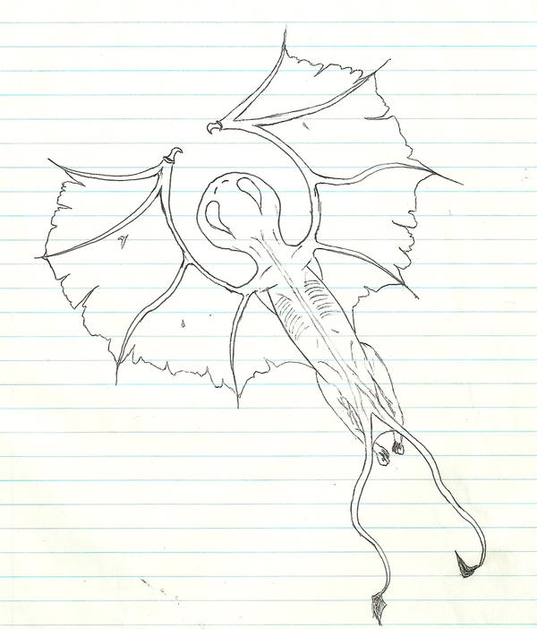 wing wraith by Remiusnastavnic on DeviantArt