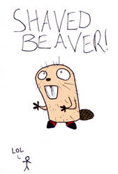 Shaved Beaver