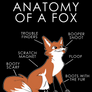Anatomy of a Fox