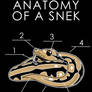 Anatomy of a Snek