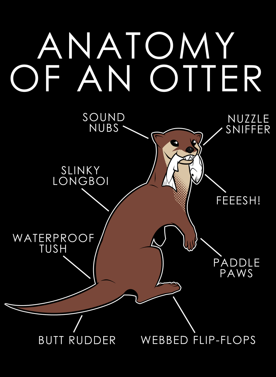 Anatomy of an Otter