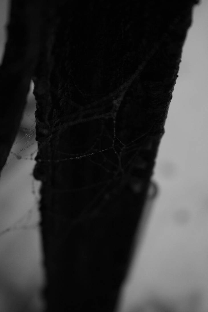 deep fall by kukulryuzaki on DeviantArt