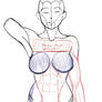 Skecchi anatomy quick tip