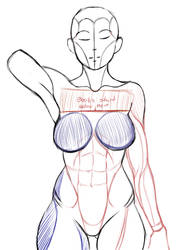 Skecchi anatomy quick tip