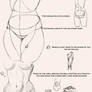 Skecchi Anatomy Tips: Torsoage