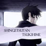 Shingetsutan Tsukihime icon