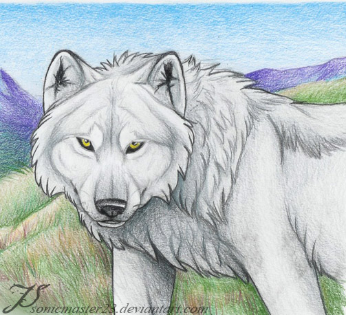 Tundra King by SonicMaster23 on DeviantArt
