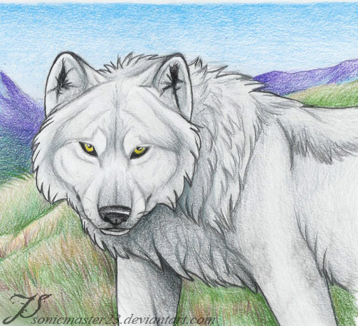 Tundra King by SonicMaster23 on DeviantArt Tundra King by SonicMaster23 on DeviantArt