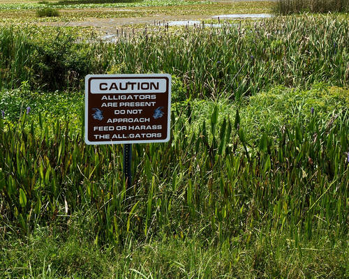 Orlando Wetlands Park - Christmas, FL