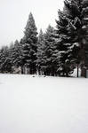Snow 2 by ThePurpleYard-Stock