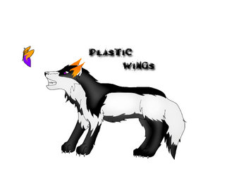 Plastic Wings